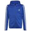Adidas Felpa Hp0805 Blu