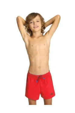 Arena Costume 006374 480