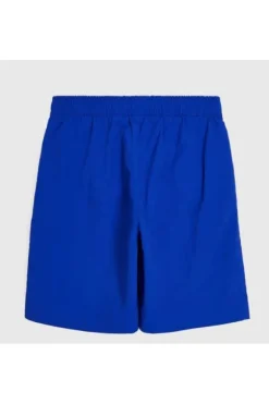 Champion Costume 306771 Bs003