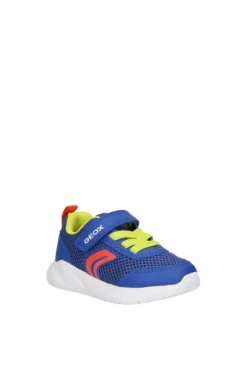 Geox Sneaker B454uc Royal/red