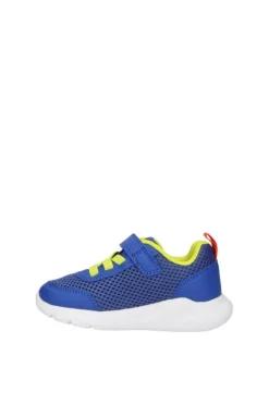 Geox Sneaker B454uc Royal/red