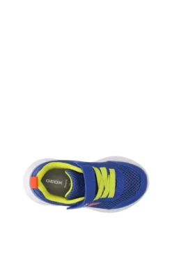 Geox Sneaker B454uc Royal/red