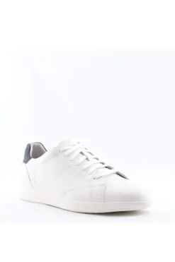 Geox Sneaker U456fb White