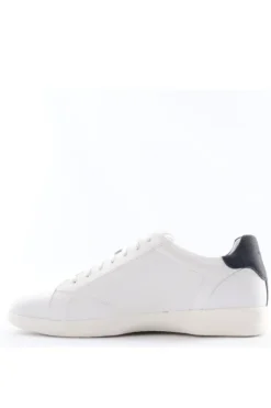 Geox Sneaker U456fb White