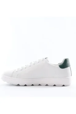 Geox Sneaker U45gpa Wh/green