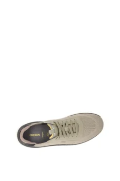 Geox Sneaker U55gqa Sage