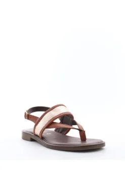 Kiss e shock Sandalo basso 220055 Brown