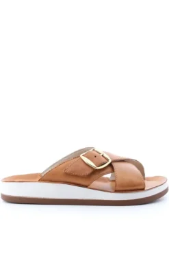 Marko Ciabatta 236065 Brandy