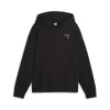 Puma Felpa 676804 01