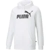Puma Felpa 586686 02