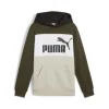 Puma Felpa 679717 70