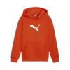 Puma Felpa 683809 18