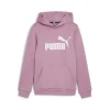 Puma Felpa 587031 51