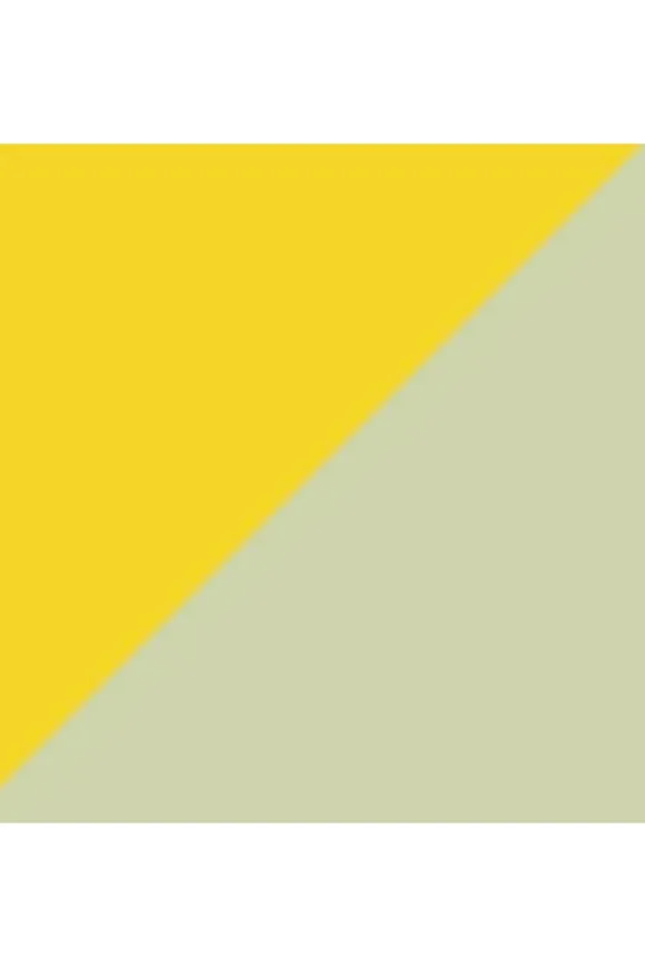 Puma Pallone 084298 02