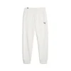 Puma Pantaloni 676805 99