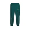 Puma Pantaloni 680015 43