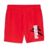 Puma Short 678990 11