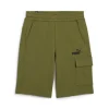 Puma Short 673366 33