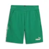 Puma Short 679247 86