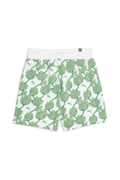 Puma Short 679352 86