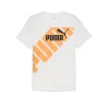 Puma T-shirt manica corta 678960 02